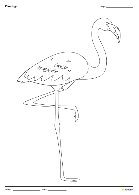 Fișă Flamingo