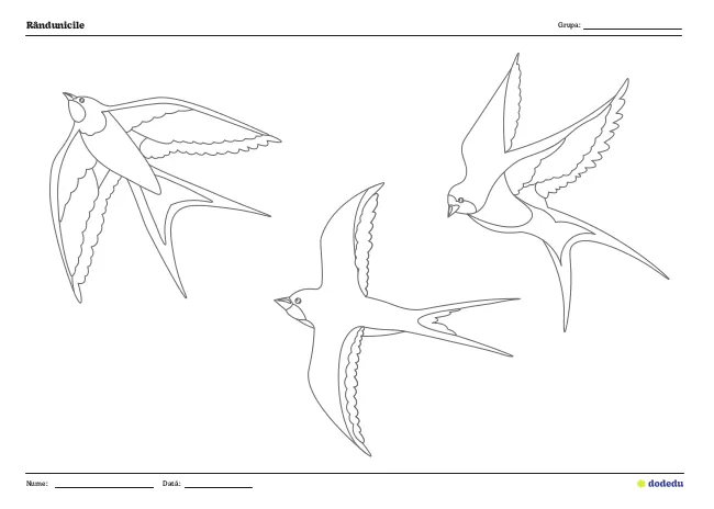Fișă - Rândunicile