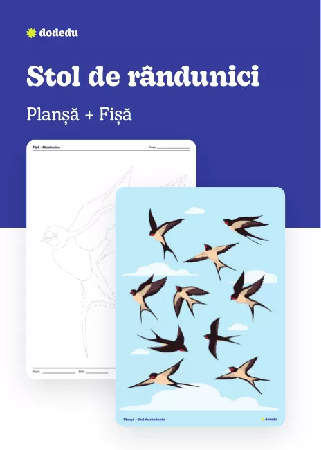 Stol de rândunici - Set Planșă+Fișă