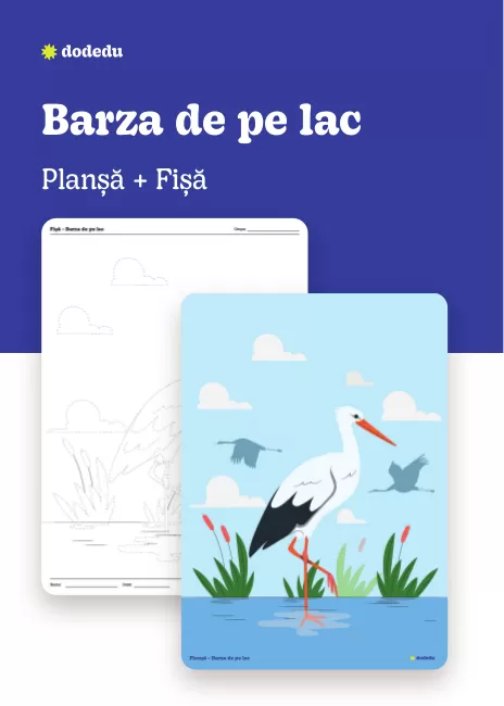 Barza de pe lac - Set Planșă+Fișă