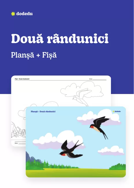 Două rândunici - Set Planșă+Fișă