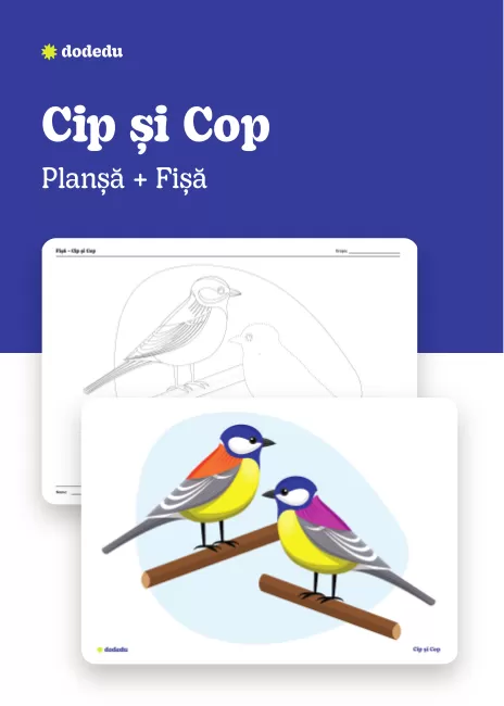 Cip și Cop - Set Planșă+Fișă