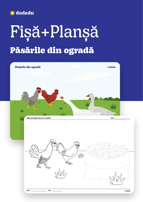 Păsările din ogradă- Set Planșă+Fișă
