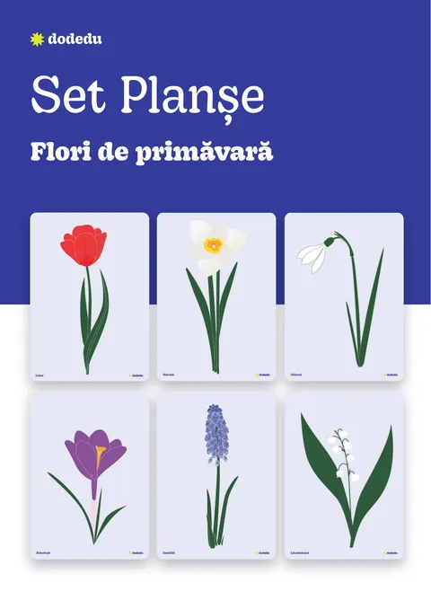 Flori de primăvară - Set Planșe