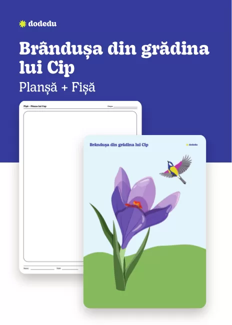 Brândușa din grădina lui Cip - Set Planșă+Fișă