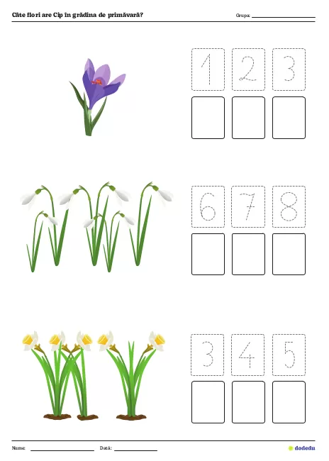 Fișă Câte flori are Cip în grădina de primăvară?